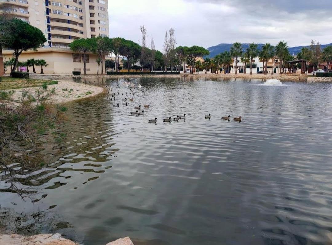 Ferienwohnung Arena Y Mar Tavernes de la Valldigna Exterior foto